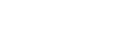 Zies, Consultoría Estratégica